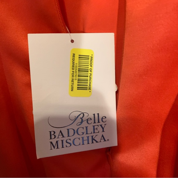 NWT Badgley Mischka Nikki Sleeveless Fit & Flare Dress size 12 - Picture 11 of 14